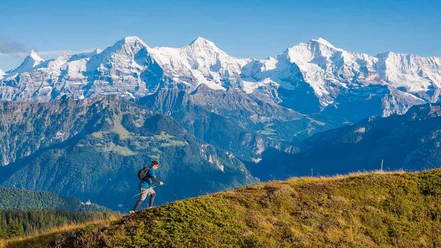 Trail runner above Beatenberg in front of the impressive mountain backdrop with Eiger, Mönch, and Jungfrau