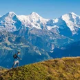 Trail runner above Beatenberg in front of the impressive mountain backdrop with Eiger, Mönch, and Jungfrau