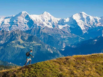 Trailrunner oberhalb Beatenberg vor der eindrücklichen Bergkulisse mit Eiger, Mönch und Jungfrau