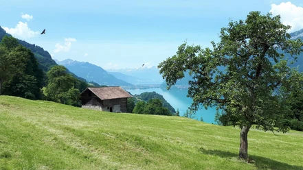 Au-dessus d'Iseltwald, vue sur le lac de Brienz
