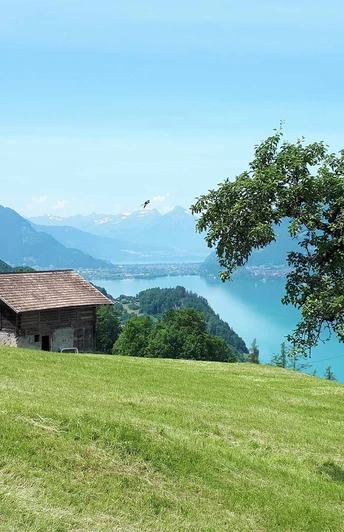 Oberhalb Iseltwald, blick auf den Brienzersee