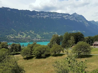 Au-dessus de Bönigen, vue sur le lac de Brienz