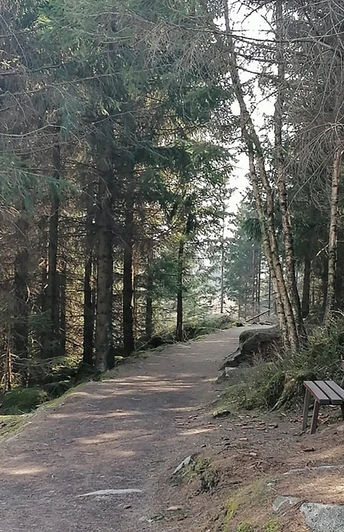 Naturlehrpfad Schierke