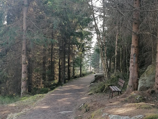 Naturlehrpfad Schierke