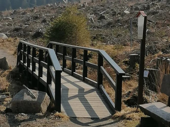 Brücke auf dem Naturlehrpfad Schierke