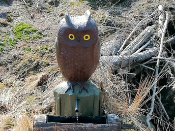 Eule auf dem Naturlehrpfad in Schierke