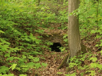 Kunstgraben westlich des Kunstteiches Wettelrode