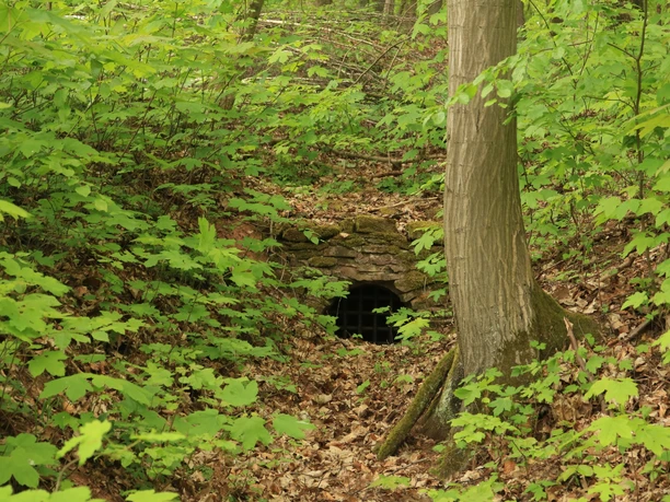 Artificial ditch west of the Wettelrode artificial pond