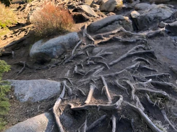 Eckerloch - Teufelsstieg