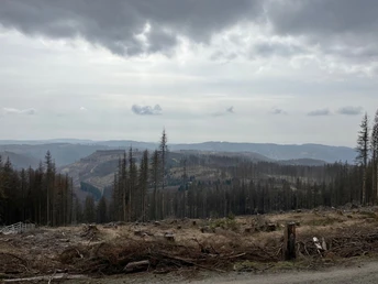 Aussicht vom "Acker" Richtung "Großer Knollen"