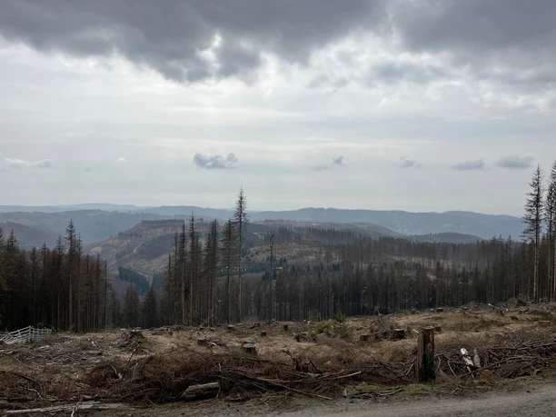 Aussicht vom "Acker" Richtung "Großer Knollen"