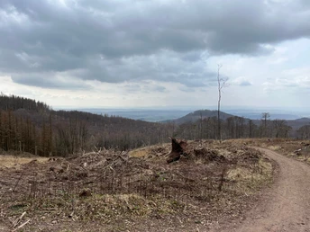 Ausblick vom "Großen Knollen" nach Süden