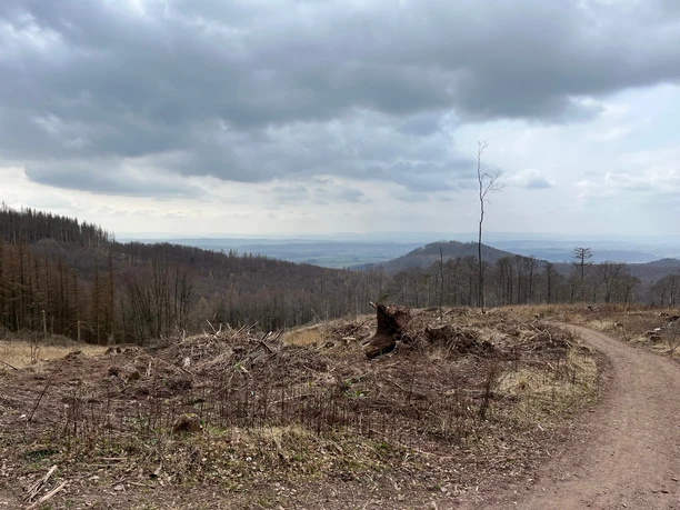 Ausblick vom "Großen Knollen" nach Süden