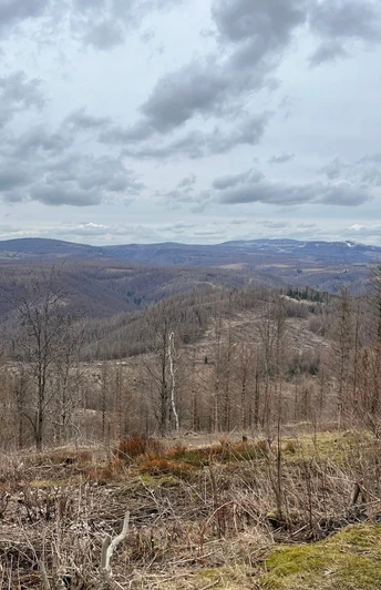 Blick vom Stöberhai auf den Hochharz