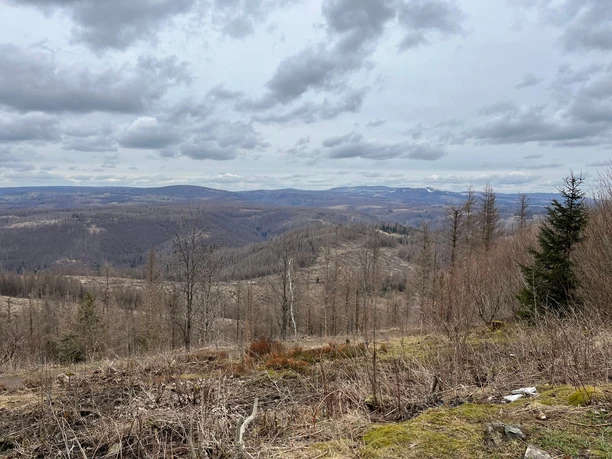 Blick vom Stöberhai auf den Hochharz