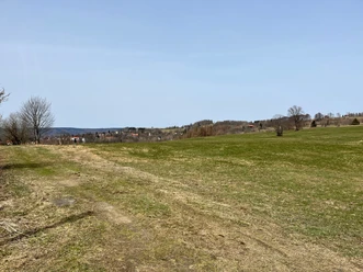 Blick über die Bergwiesen von Sankt Andreasberg