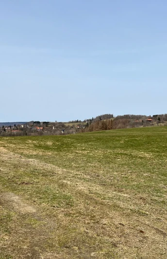 Blick über die Bergwiesen von Sankt Andreasberg
