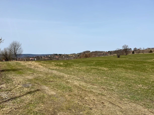 Blick über die Bergwiesen von Sankt Andreasberg