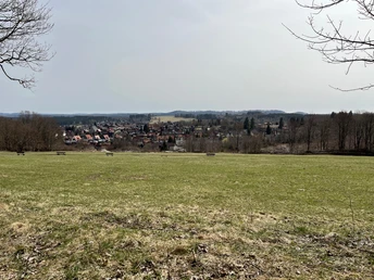 Blick auf Braunlage