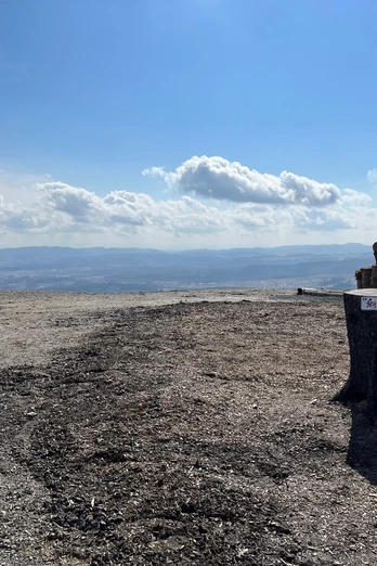Blick vom Wurmberg nach Süden