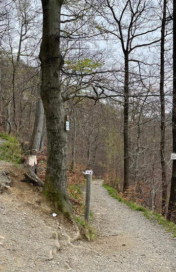 Trails oberhalb Bad Harzburgs