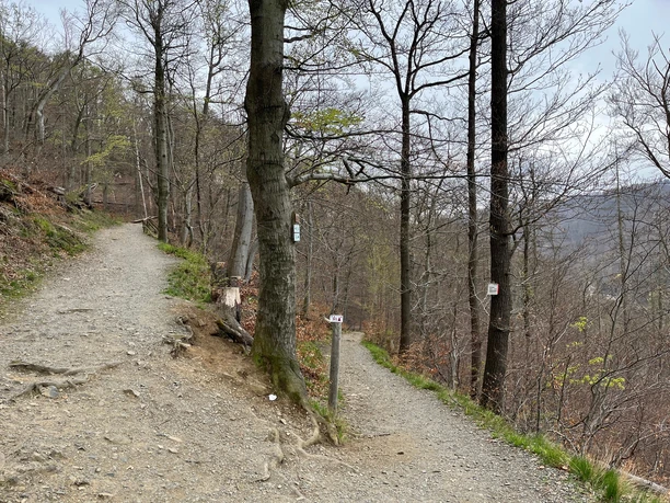 Trails oberhalb Bad Harzburgs