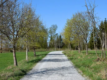 Zum Freiland-Grenzmuseum