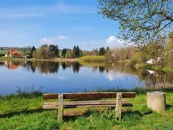 Oberer Stieger Teich