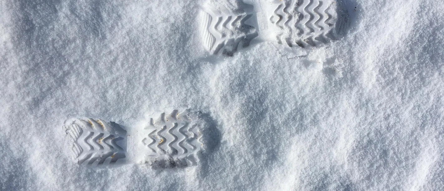 Traces dans la neige