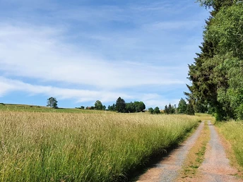Wanderweg zum Carlshausturm