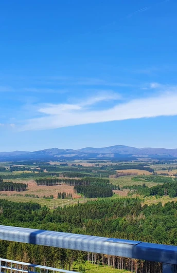 Blick vom Carlshausturm