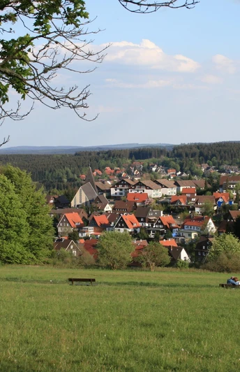 Ortsansicht Braunlage