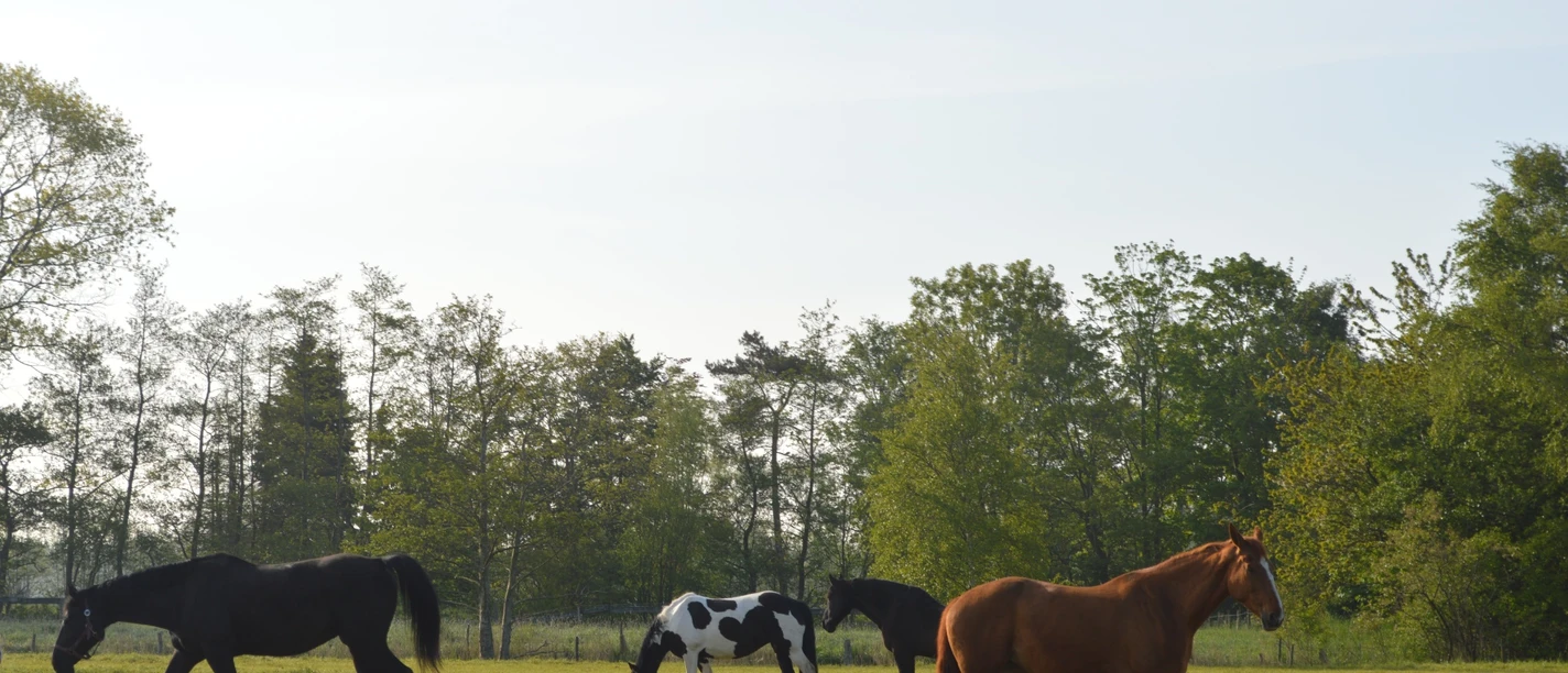 Idyllische Ausblicke