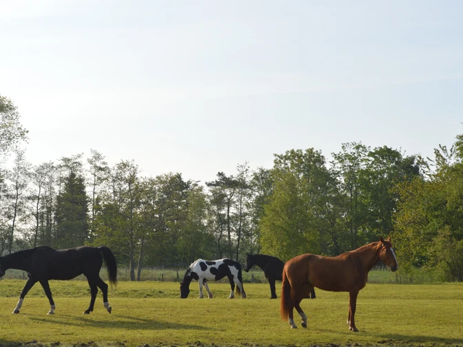 Idyllische Ausblicke