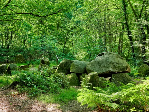 Großsteingräber am Vorgeschichtspfad
