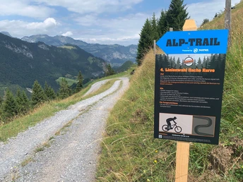 Alptrail Wiriehorn: Posten Linienwahl flache Kurve