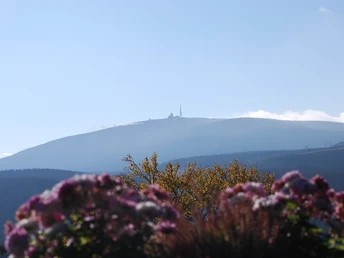 Blick zum Brocken (Foto: Bennet Doerge)