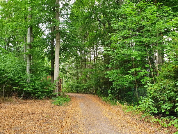 Rundwanderweg Zillierbachtalsperre