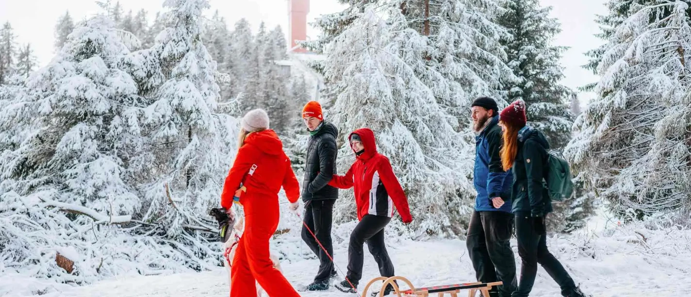 Tobogganing in Braunlage