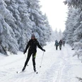 Langlauf im Oberharz