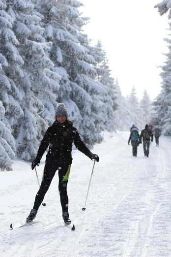 Langlauf im Oberharz