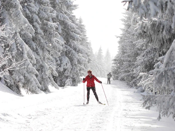 In der Oberharzer Loipe