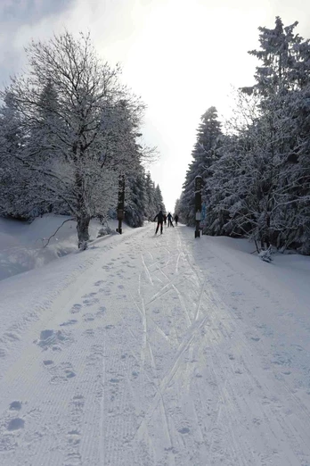 Skatingloipe im Oberharz