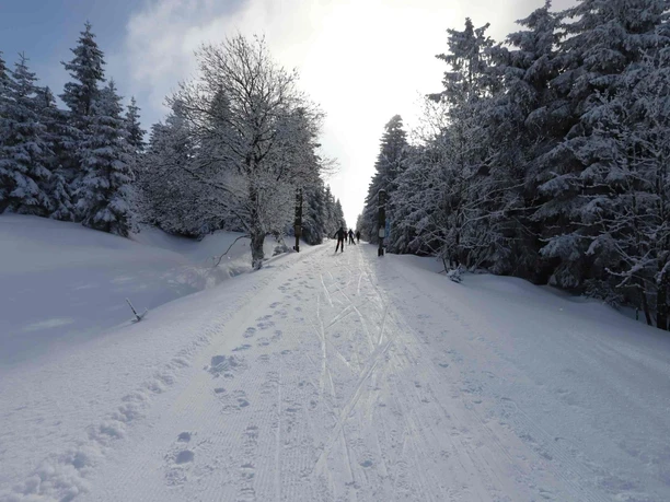 Skatingloipe im Oberharz
