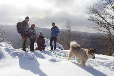 Mit dem Hund im Oberharz