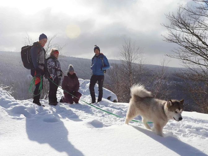 Mit dem Hund im Oberharz