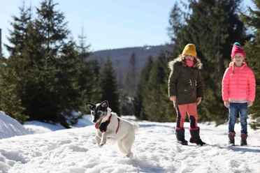 Winter im Oberharz mit Hund