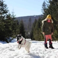 Winter im Oberharz mit Hund