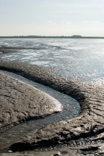 Wattlandschaft vor Wremen