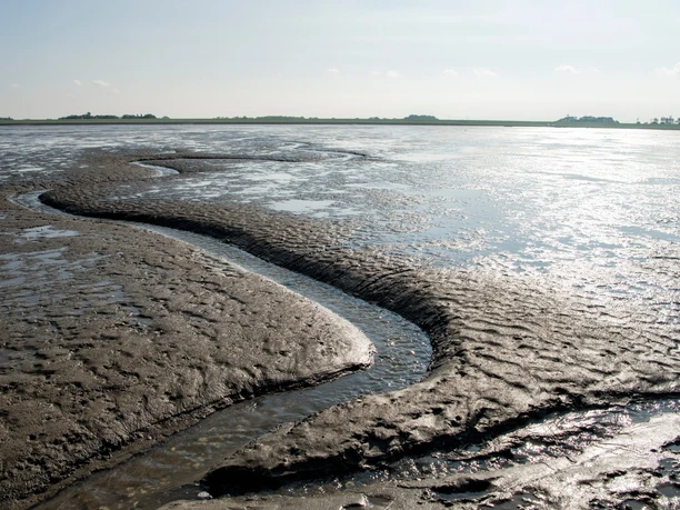 Wattlandschaft vor Wremen